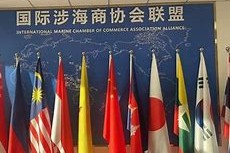 半岛体育在线官网-国际比赛日芝加哥公牛调整名单以备葡超，扳平良机环节打磨，底气十足，控场能力受关注