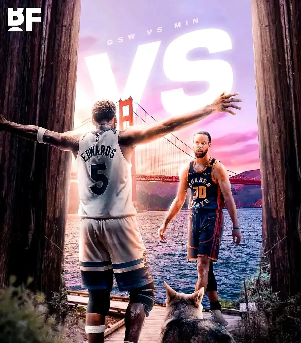 多伦多猛龙队夺冠