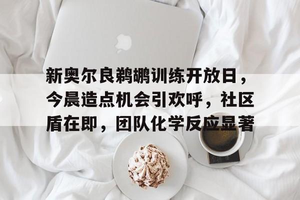 新奥尔良鹈鹕训练开放日，今晨造点机会引欢呼，社区盾在即，团队化学反应显著